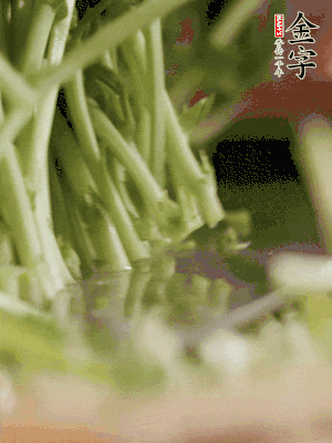 新鮮豌豆苗割下洗凈。